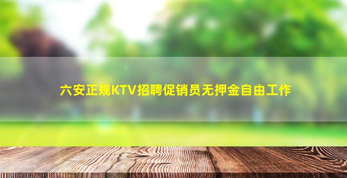 六安正规KTV招聘促销员无押金自由工作